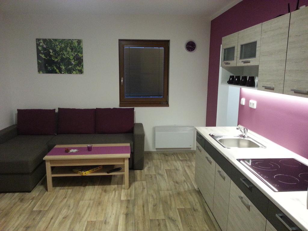 Vaclavov u Bruntalu Apartmany Podhorama מראה חיצוני תמונה